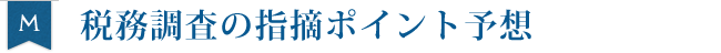 税務調査の指摘ポイント予想